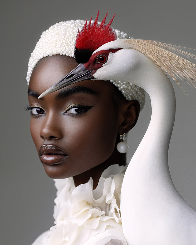 CROWNED CRANE