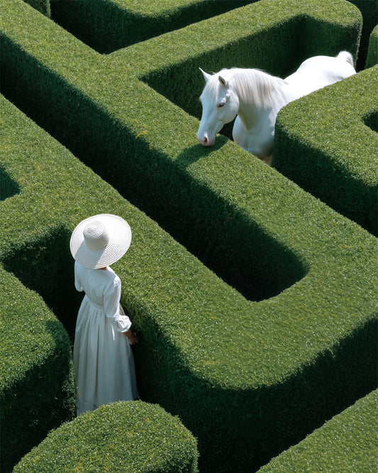 LE LABYRINTHE